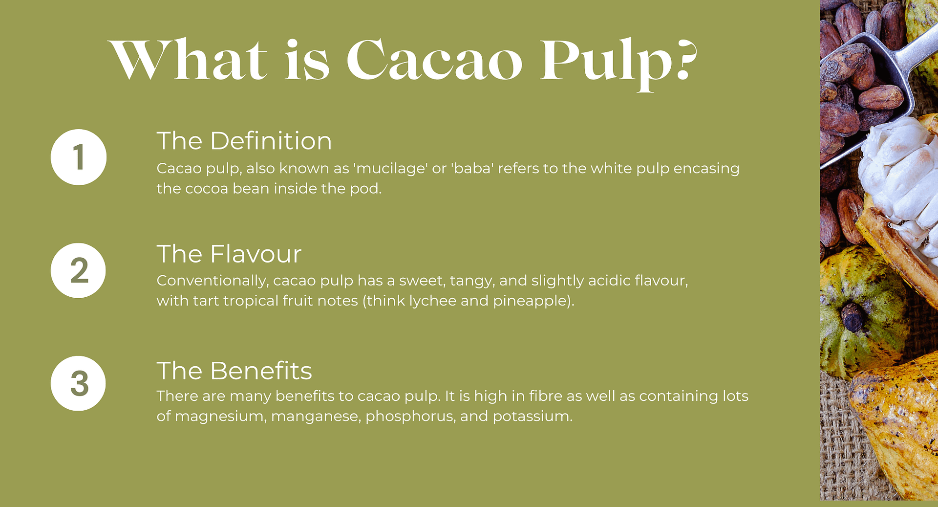 Cacao Pulp Cocoa Runners