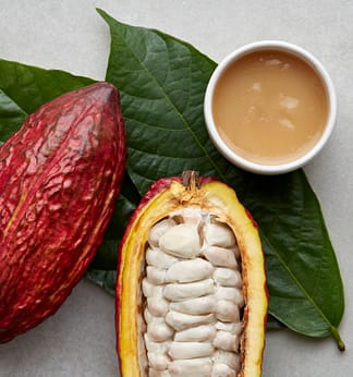 cocoa pods, cocoa leaves and a cup of pulp
