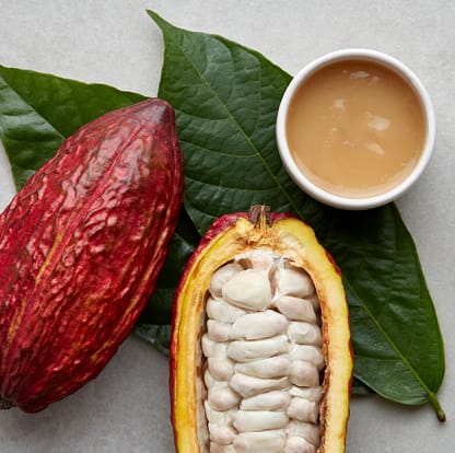 cocoa pods, cocoa leaves and a cup of pulp