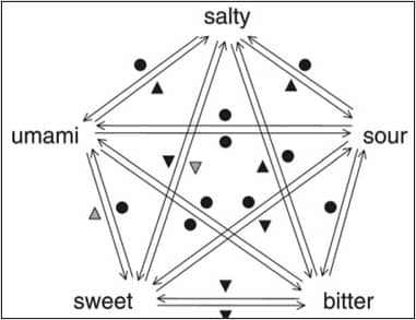 taste interaction diagram