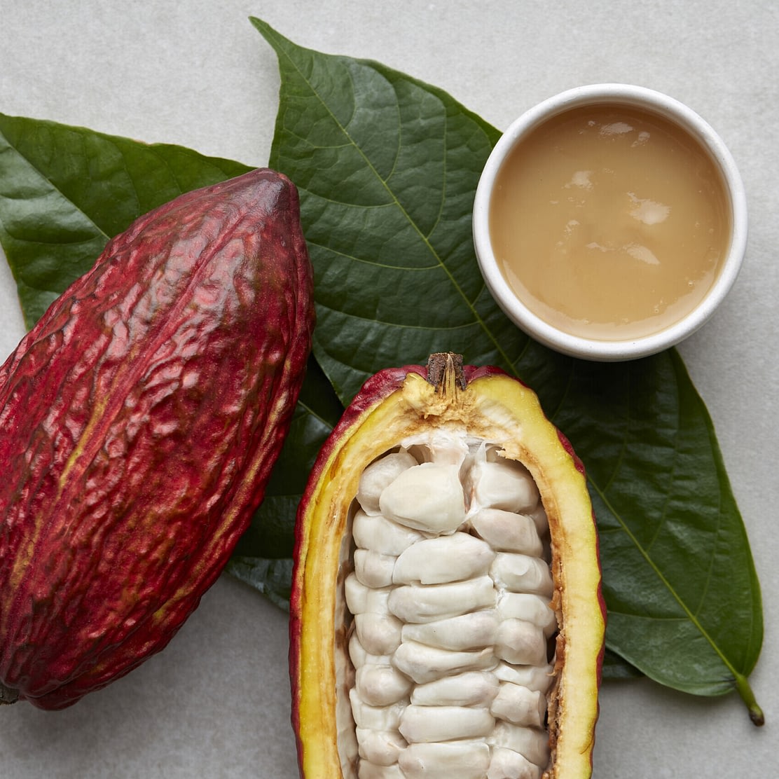 Cacao Latitudes - Palo Santo, Ecuador, Cocoa Fruit (Pasteurised, 90g)