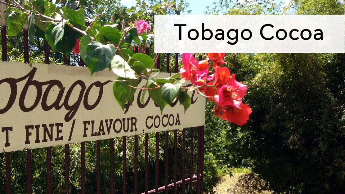 Tobago Cocoa