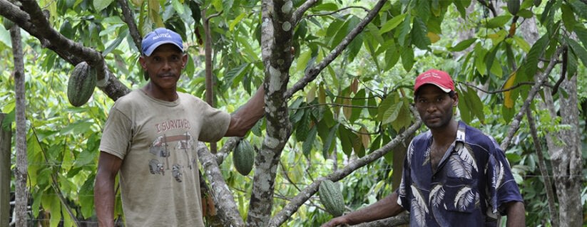 Beyond Fairtrade: Fruition Chocolate