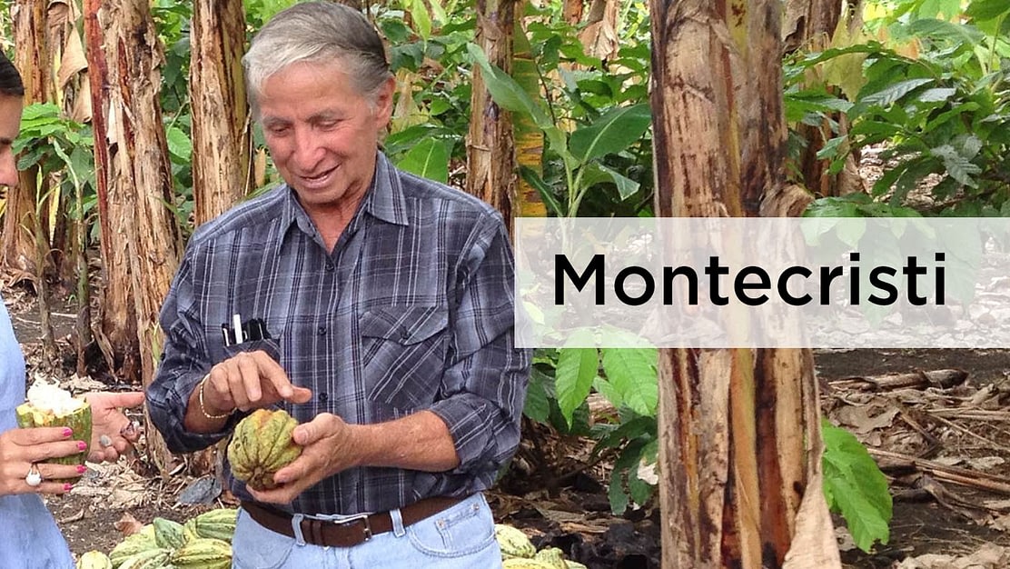 Montecristi