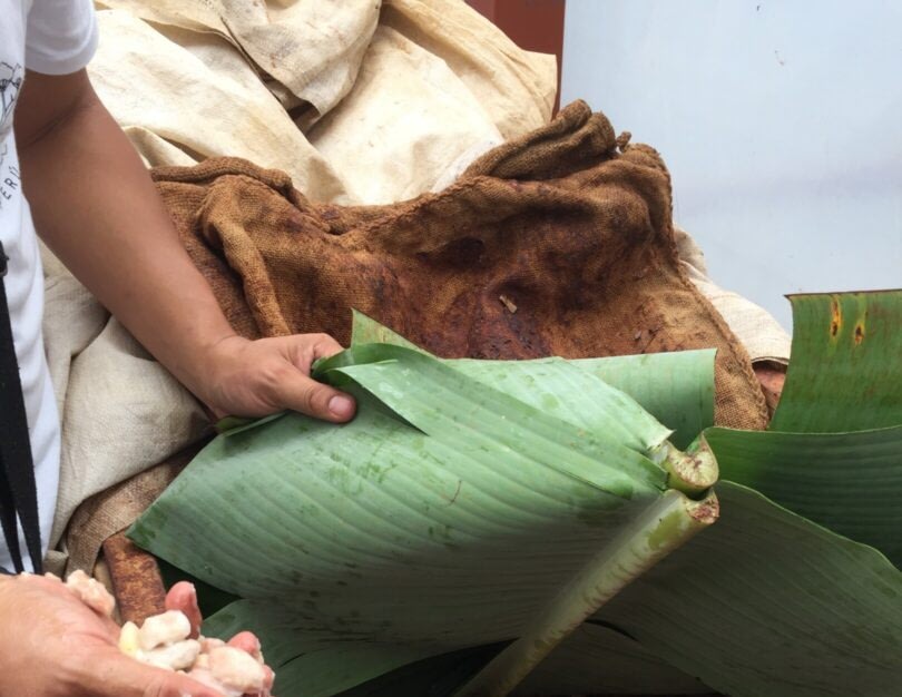 Fermentation: The Forgotten Hero of Craft Chocolate