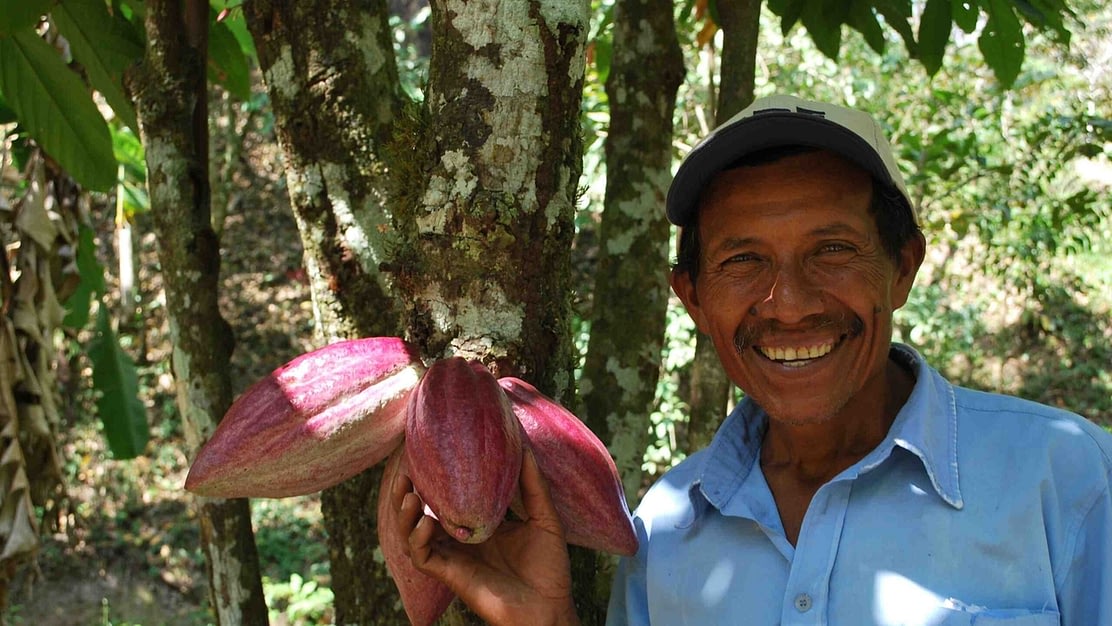 Ingemann Fine Cocoa