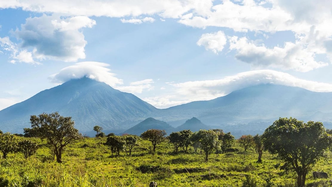 Virunga