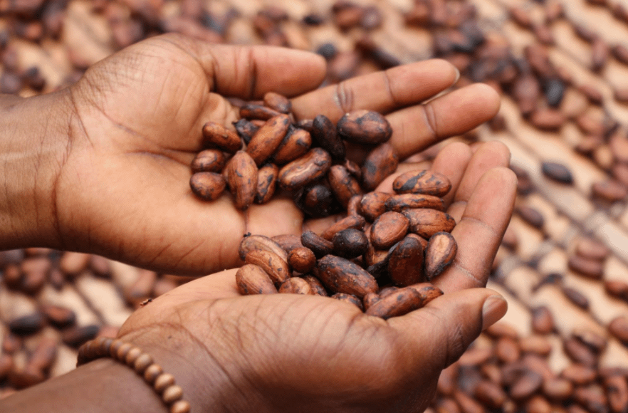 Nigeria and its Chocolate Future