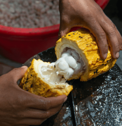 6 Ways to Use Cacao Other Than Chocolate