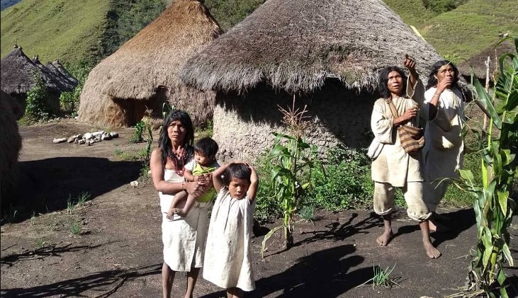 Colombia: Cocoa, Cadmium and Coca
