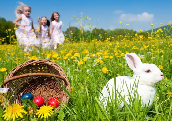 Why The Easter Bunny Gives Out Chocolate Eggs
