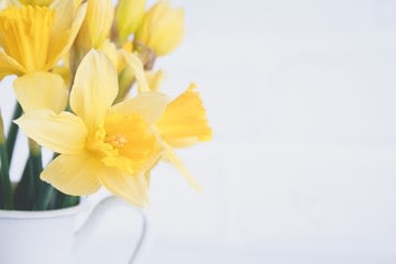 Celebrating Mothering Sunday