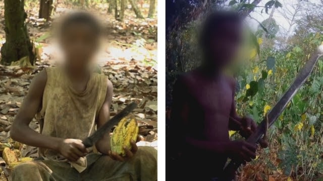 How to Ensure Cocoa Farmers are Properly Paid