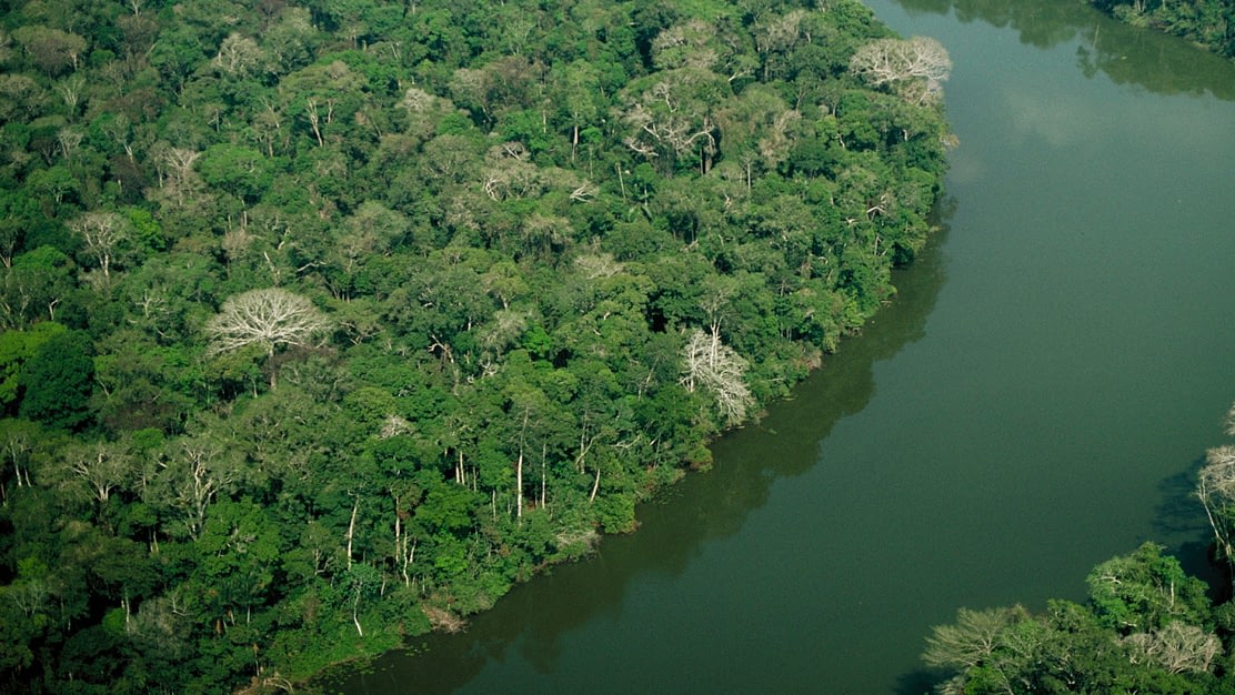 Rio Juruá
