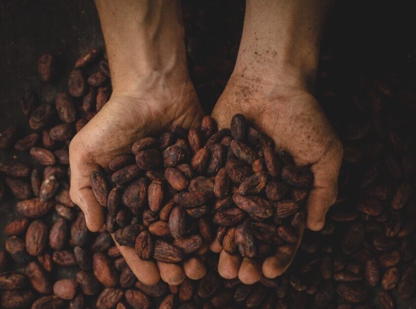 Reasons to Savour Craft Chocolate