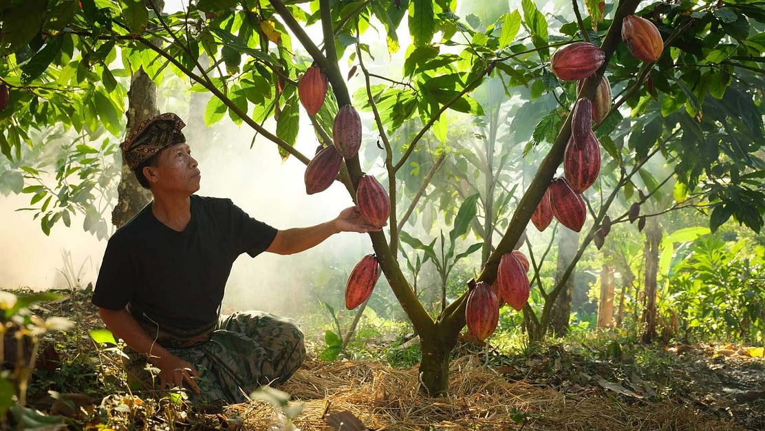 Junglegold Bali