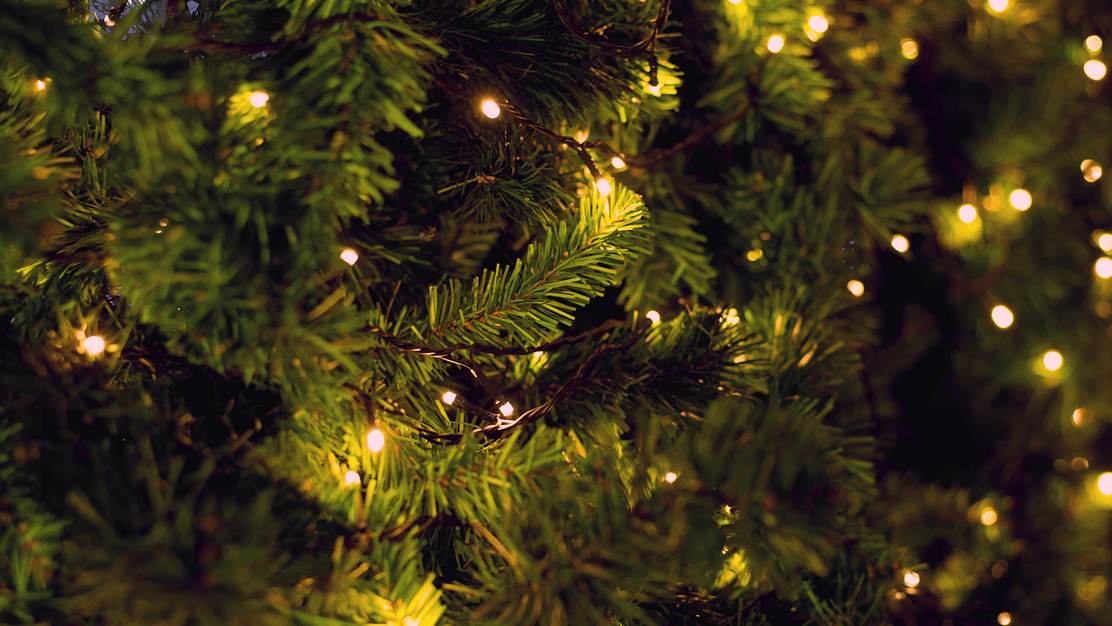The chocolate under your Christmas tree