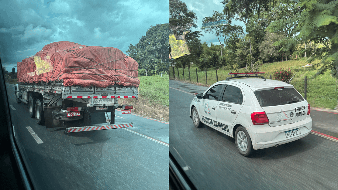 Theft and smuggling in cocoa and chocolate