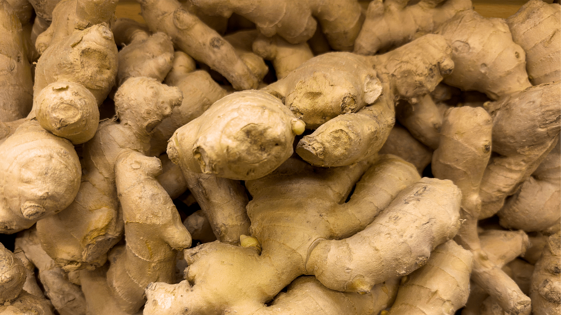 Ginger