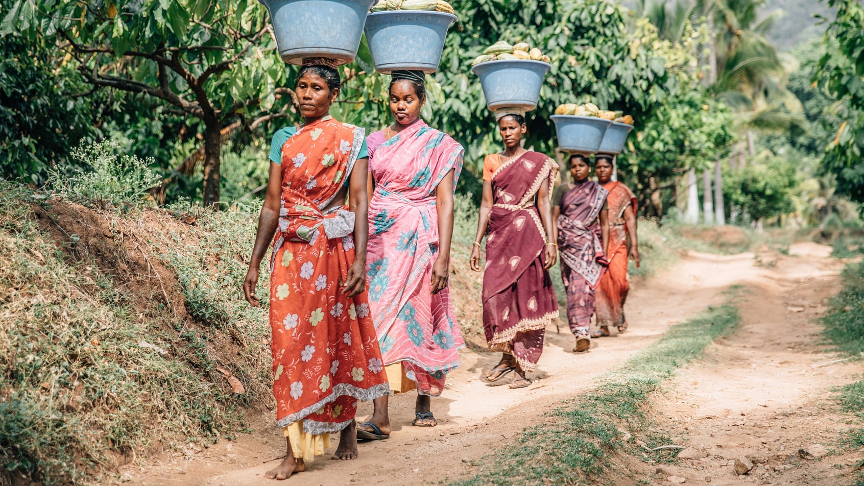 India’s Chocolate History and Future