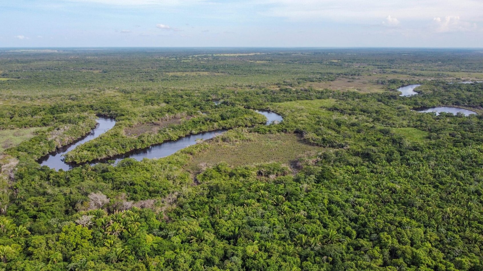 Cacao versus Rainforest Destruction & Murder