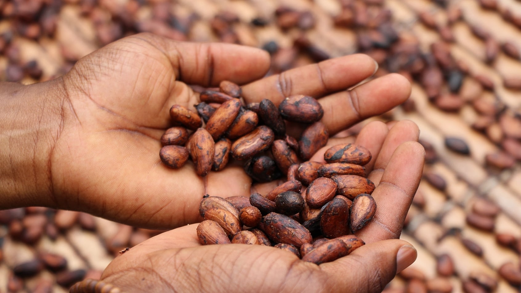 Five of the Most Ethical Makers In The World