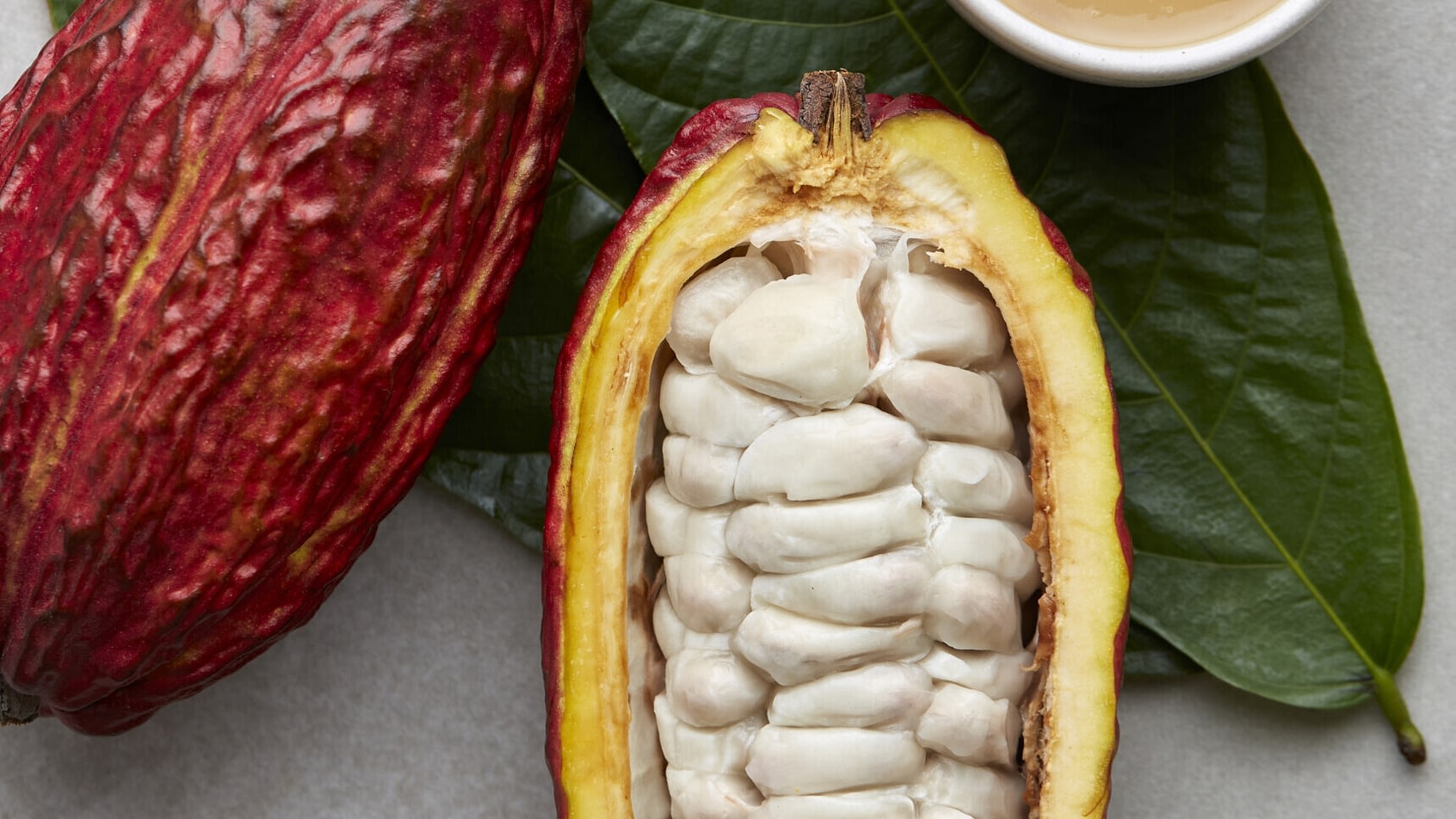 From cacao to cocoa to chocolate: What’s in a name?