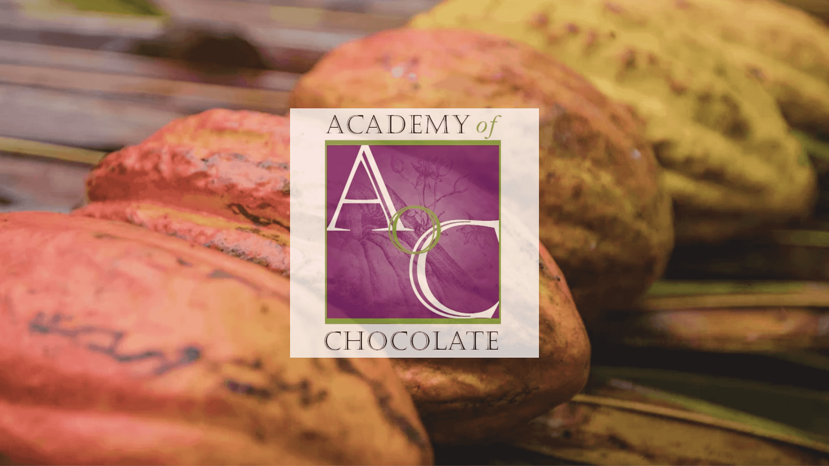 Inside the world of chocolate judging