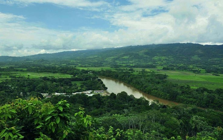Cacao de Aroma