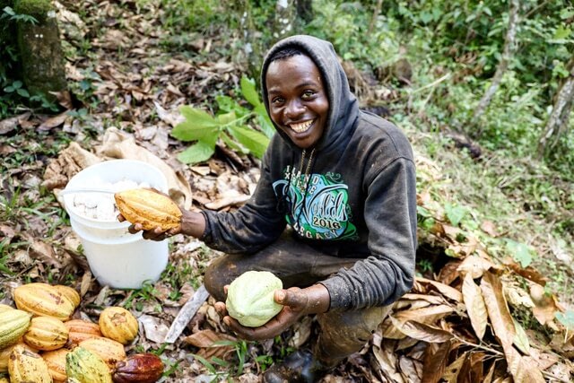 Zorzal Cacao - Chocolate Grower - Cocoa Runners